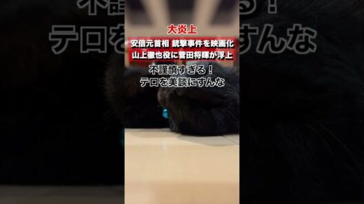 【大炎上】安倍元首相の銃撃事件を映画化。山上徹也役に菅田将暉が浮上...→テロリストを英雄化するな！