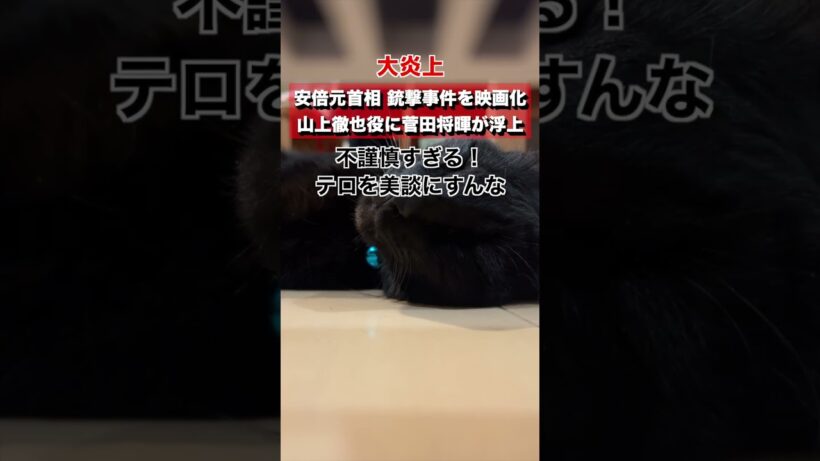 【大炎上】安倍元首相の銃撃事件を映画化。山上徹也役に菅田将暉が浮上...→テロリストを英雄化するな！