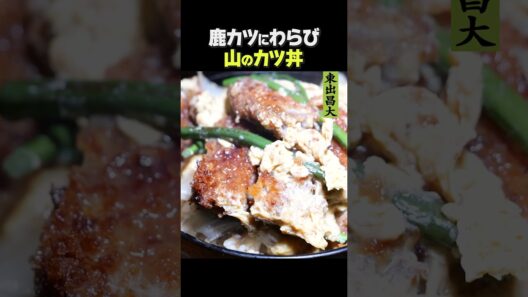 東出昌大 / 山のカツ丼