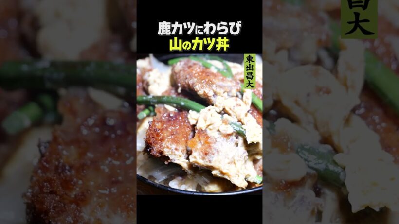 東出昌大 / 山のカツ丼