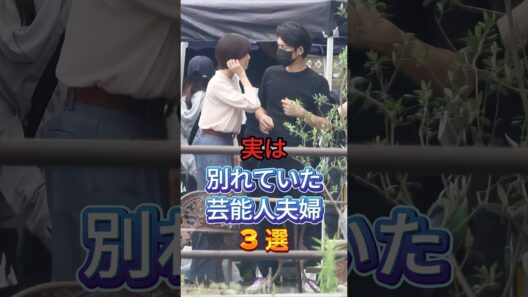 実は別れていた芸能人夫婦3選 #芸能人 #fyp #玉木宏 #内田有紀 #芸能 #shorts