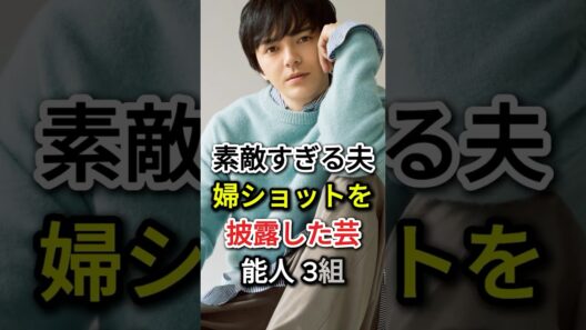 素敵すぎる夫婦ショットを披露した芸能人 3組#fyp#芸能人#大島優子 # 林遣都#江口洋介 # 森高千里