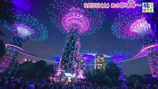 海外の旅はシンガポールへ！ゲストの旅は関口メンディー！「旅サラダ」9月5日（土）放送