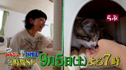「嗚呼!!みんなの動物園」9月5日(土)よる7時放送【2時間SP】24時間テレビ・相葉トリミング完全版！青木マッチョの新シリーズ始動！さらに池崎家に持田香織！