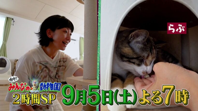 「嗚呼!!みんなの動物園」9月5日(土)よる7時放送【2時間SP】24時間テレビ・相葉トリミング完全版！青木マッチョの新シリーズ始動！さらに池崎家に持田香織！