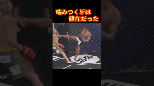煮え切らない黒石高大だったが…#ブレイキングダウン #こめお #黒石高大 #shorts