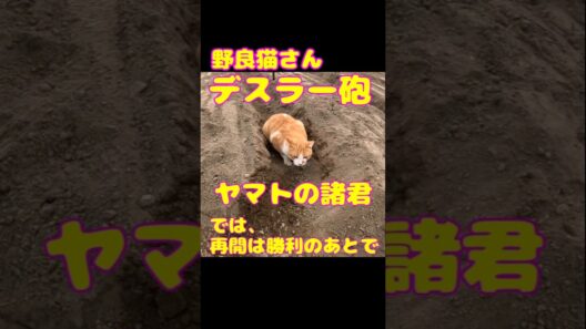 No.00253 【デスラー砲、発射】デスラー総統といえば伊武雅刀さん、そして伊武さんといえば映画「汚れた英雄」でのサーキットの実況・テディ片岡 #shorts