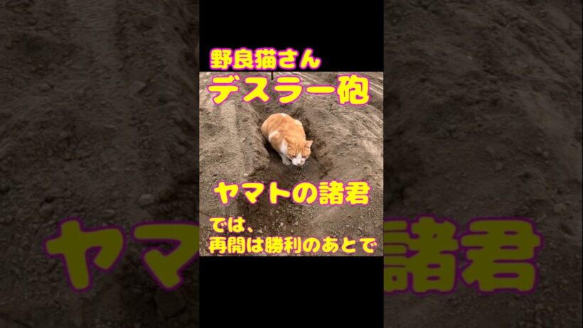 No.00253 【デスラー砲、発射】デスラー総統といえば伊武雅刀さん、そして伊武さんといえば映画「汚れた英雄」でのサーキットの実況・テディ片岡 #shorts