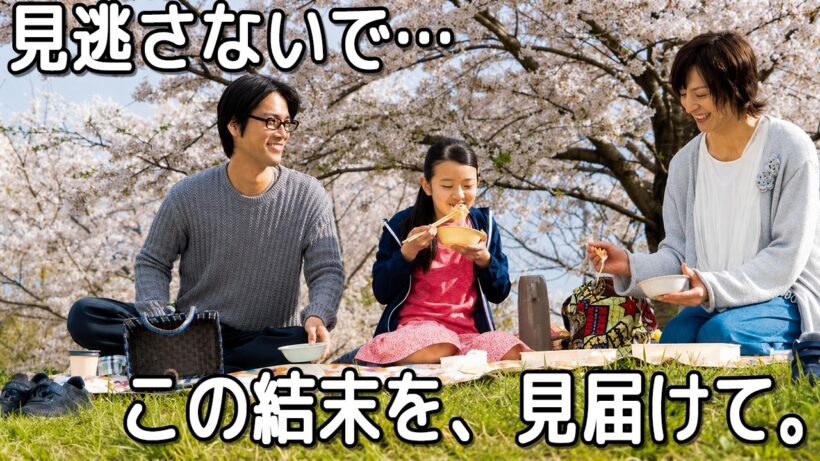 あぁ…この映画をどう言葉にすればいいんだろう。演技も脚本も素晴らしく、ただただ優しくて温かい【映画紹介】