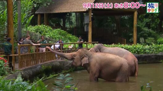 海外の旅はシンガポールへ！ゲストの旅は関口メンディー！「旅サラダ」9月12日（土）放送