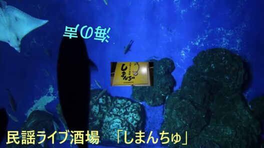 海の声　元唄_浦島太郎〈桐谷健太〉　於：民謡酒場_シマンチュ 2026/７/21