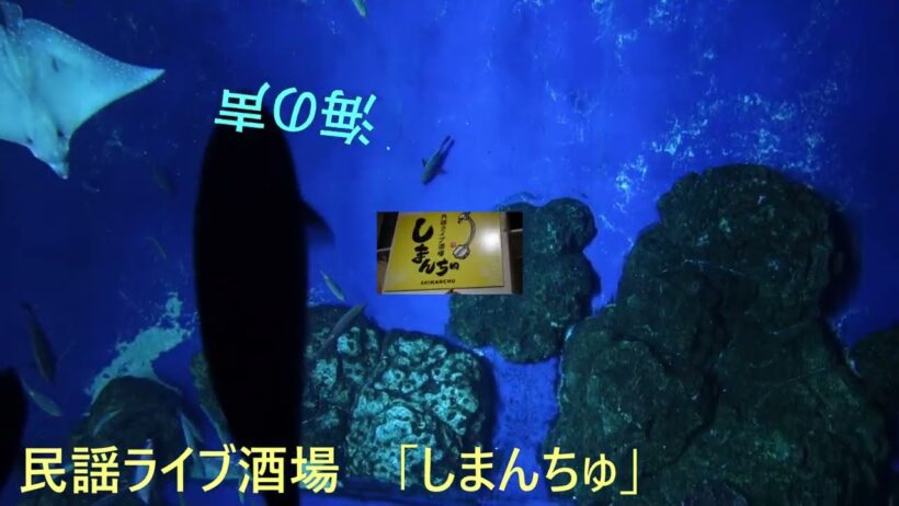 海の声　元唄_浦島太郎〈桐谷健太〉　於：民謡酒場_シマンチュ 2026/７/21