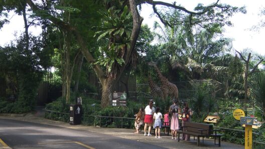 海外の旅はシンガポールへ！ゲストの旅は光石研！「旅サラダ」9月12日（土）放送