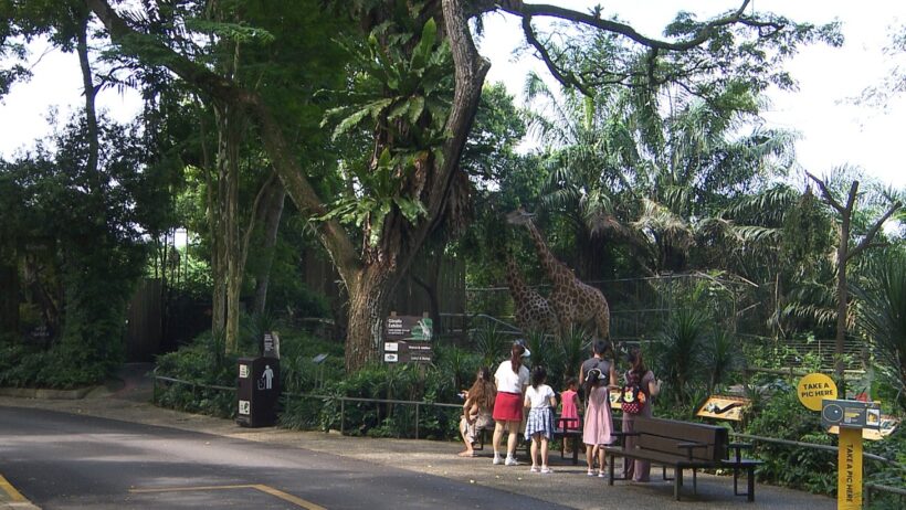 海外の旅はシンガポールへ！ゲストの旅は光石研！「旅サラダ」9月12日（土）放送