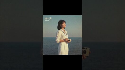 桐谷健太の海の声が昭和にリリースされていたら #aicover