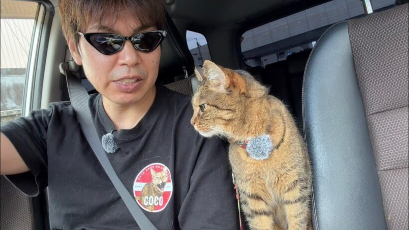 赤井英和さんについて