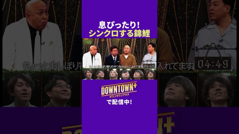 ピッタリ! シンクロする錦鯉 #トーク #ダウンタウンプラス