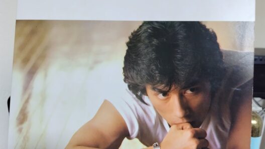 真田広之  アルバム『太陽のREVOLUTION』A面    1984年
