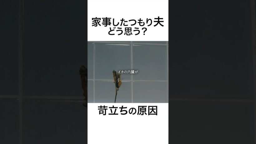本当に家事できてる？  #夫はわたしじゃいけないの #ショートドラマ #bumpドラマ  #夫婦