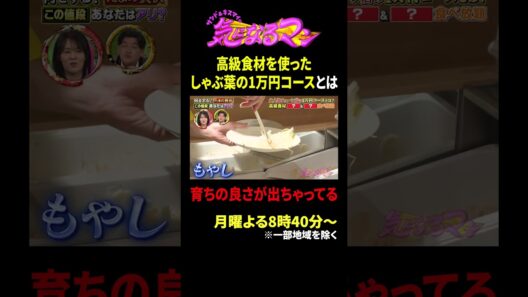 高級食材を使ったしゃぶ葉の1万円コースとは 育ちの良さが出ちゃってる｜サンド＆キスマイの気になるマン #TVer で最新話配信中！