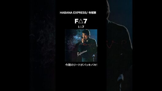 ダンディズムと都会の薫り。寺尾聰『HABANA EXPRESS』 #ギター #音楽理論 #コード進行#citypop #aor #guitar #fusion