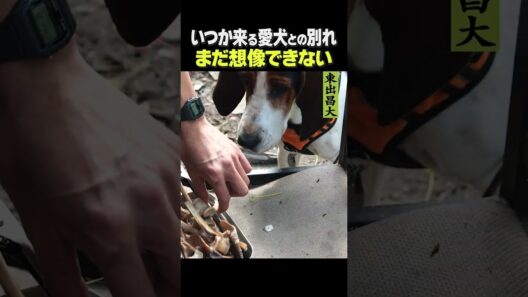 東出昌大 / まだ想像できない…。