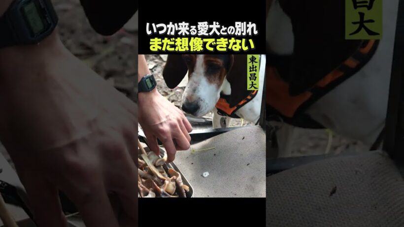 東出昌大 / まだ想像できない…。