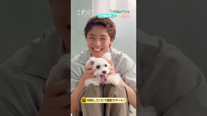 【WATWING】八村倫太郎さんと愛犬ドリーちゃんが一年半ぶりに遊びにきてくれました！#shorts