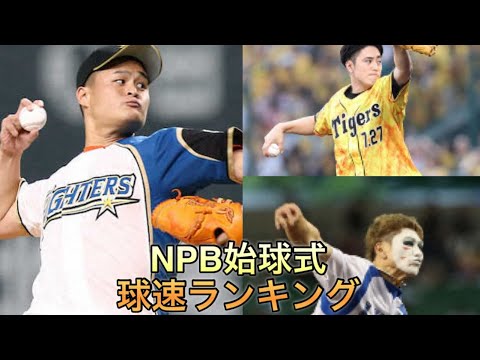 【NPB】始球式ランキング