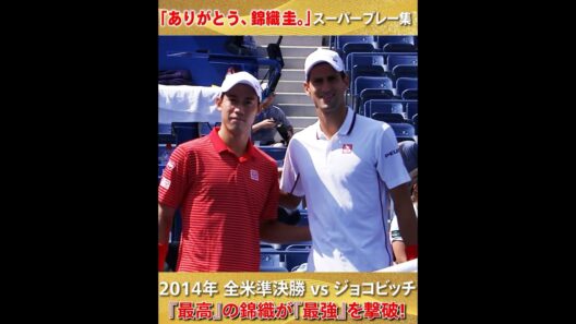 【ありがとう、 錦織圭。】スーパープレー集⑧ 2014年  #WOWOWテニス