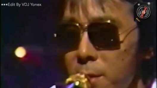 📼 シャドーシティ 寺尾聰 VDJYonexRemix