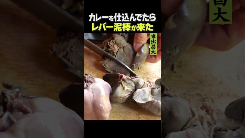 東出昌大 / レバー泥棒が来た…。