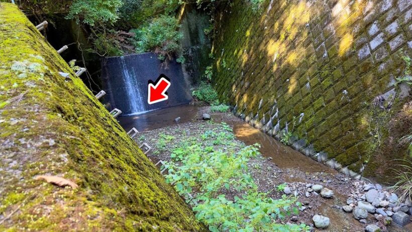 水路の行き止まりでガサガサしてみたら…