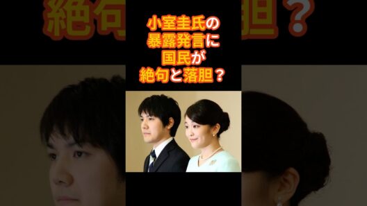 小室圭氏の暴露発言に国民が絶句と落胆！？#皇室#小室圭#秋篠宮様