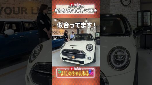 よにのちゃんねる【車爆買いwww】買っちゃうかぁ〜🚗