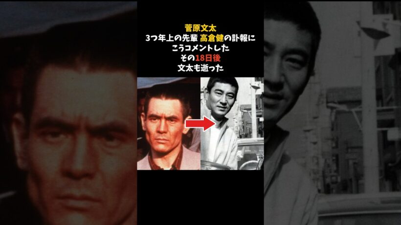 菅原文太が高倉健の訃報に出したコメントと、その18日後 #菅原文太 #高倉健 #感動する話