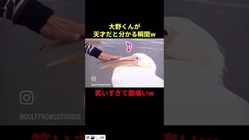 大野くん面白ずぎる🤣