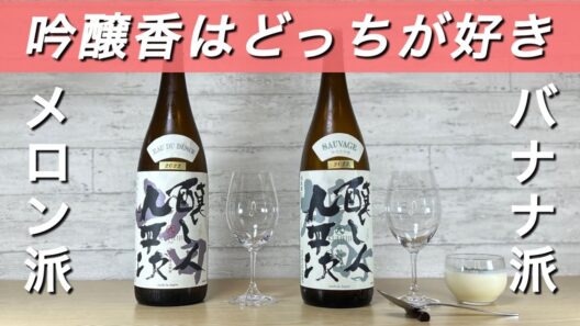 【キレイな果実味！】醸し人九平次 純米大吟醸 山田錦と雄町を飲み比べ！