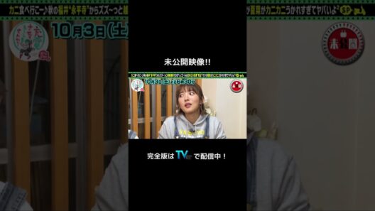 ＜未公開！＞出川哲朗の充電させてもらえませんか？