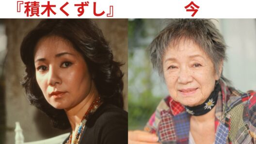 『積木くずし』から43年――高部知子・前田吟ら出演者21人は今どうしている？