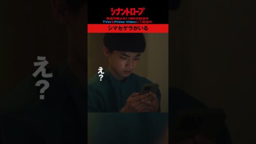 【シナントロープ】第8話 | シマセゲラがいる
