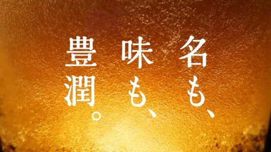 金麦〈豊潤〉『こだわりの豊潤製法』篇 67秒 竹内涼真 サントリー