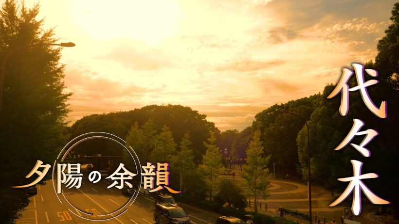 「夕陽の余韻」代々木へ　2026年9月30日放送分