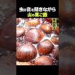 東出昌大 / 山の栗ご飯