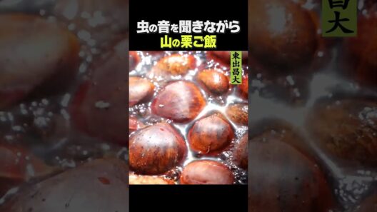 東出昌大 / 山の栗ご飯