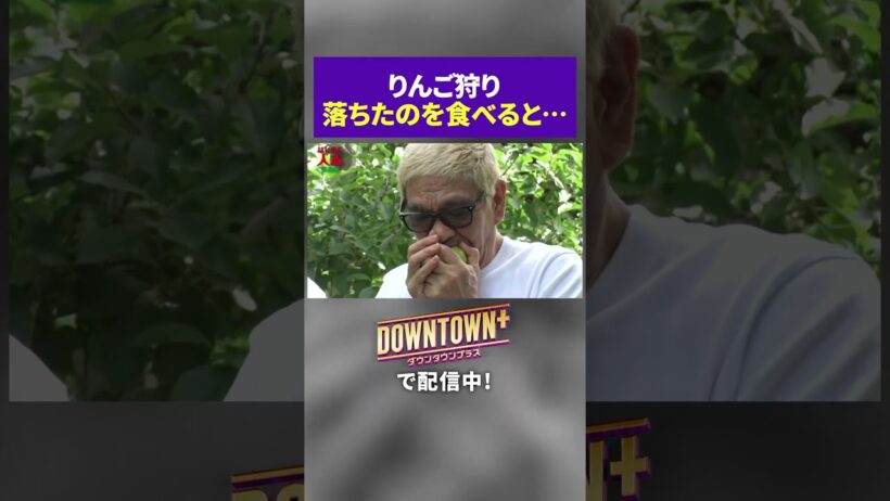 落ちたりんごを食べる松本人志 #ダウンタウンプラス