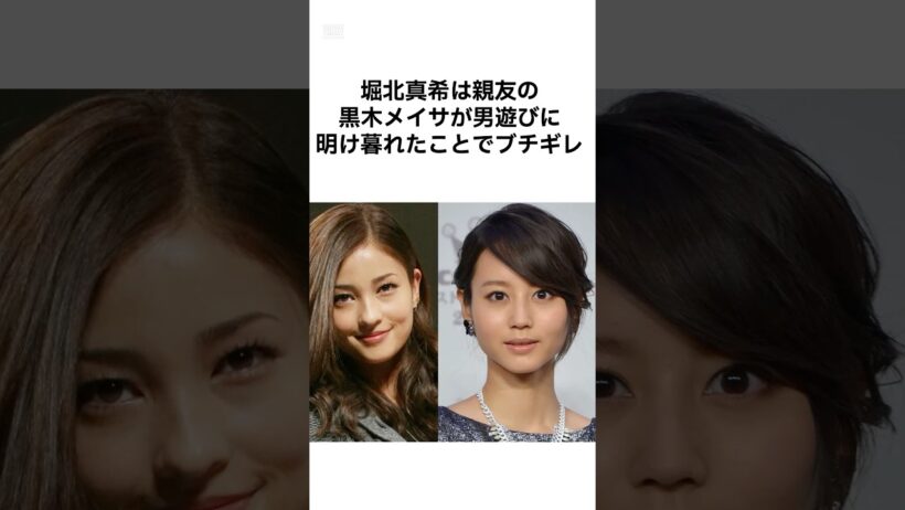【マジか、、、】堀北真希の雑学 #雑学 #堀北真希 #shorts #黒木メイサ #山本耕史  #女優 #芸能人