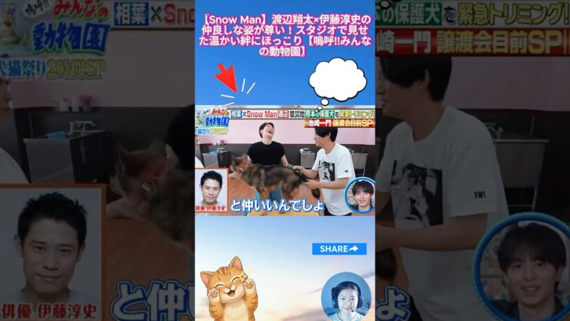 【Snow Man】渡辺翔太×伊藤淳史の仲良しな姿が尊い！スタジオで見せた温かい絆にほっこり【嗚呼!!みんなの動物園】
