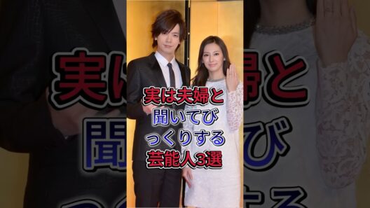 実は夫婦と聞いてびっくりする芸能人3選 #山本耕史 #堀北真希 #daigo #北川景子