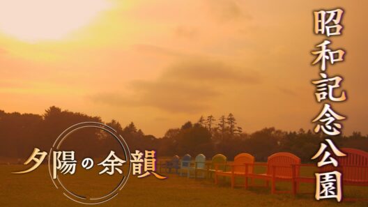 「夕陽の余韻」昭和記念公園へ　2026年10月7日放送分